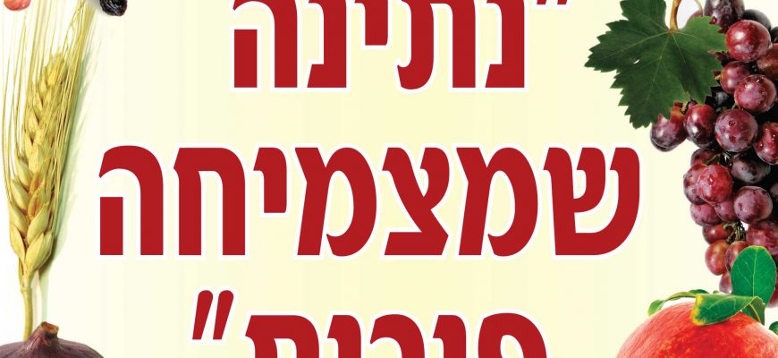 נתינה שמצמיחה פירות